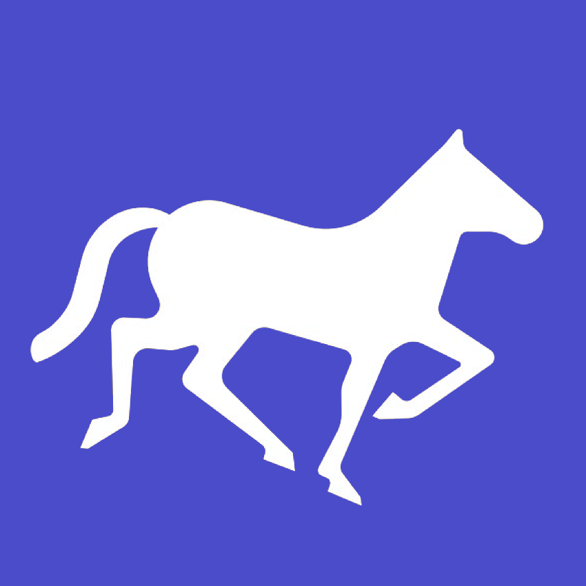 Логотип компании «Nomadic Soft»