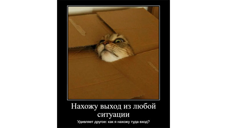 Превью публикации: Байки из ЦОДа-3: план с «газелькой», испытание оттепелью и неожиданные соседи