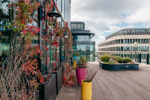 Фото офиса компании «Авито»