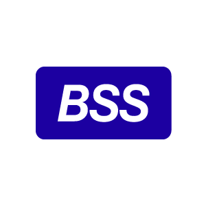 Логотип компании «BSS»