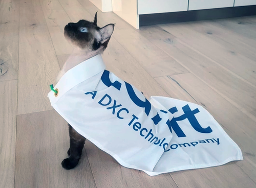 Фото офиса компании «Luxoft»